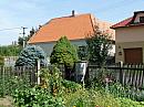 Třibřichy